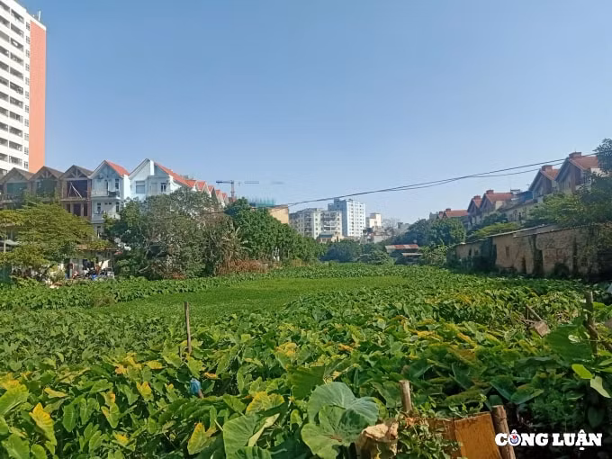 ho ngoi cau trai bi lan chiem vi sao sau nhieu nam chua xu ly het vi pham hinh 7
