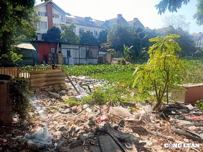 ho ngoi cau trai bi lan chiem vi sao sau nhieu nam chua xu ly het vi pham hinh 4