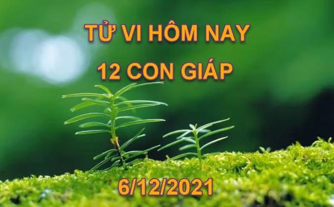 tu vi hom nay 6 12 2021 thu 2 ngay 3 11 am lich cua 12 con giap hinh 1