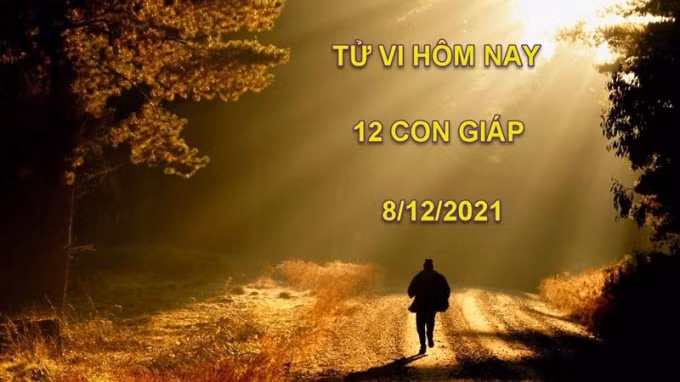 tu vi hom nay 8 12 2021 thu 4 ngay 5 11 am lich cua 12 con giap hinh 1