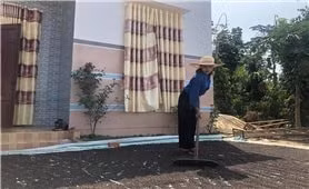 Hồ tiêu, cà phê mang lại thu nhập cao cho gia đình H’Oan H’ra 