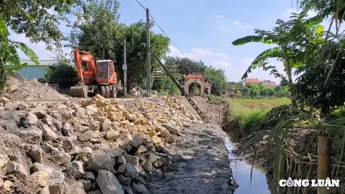 vu doanh nghiep no thue van trung thau cong ty phu phuong co dau hieu gian lan ho so nang luc hinh 2