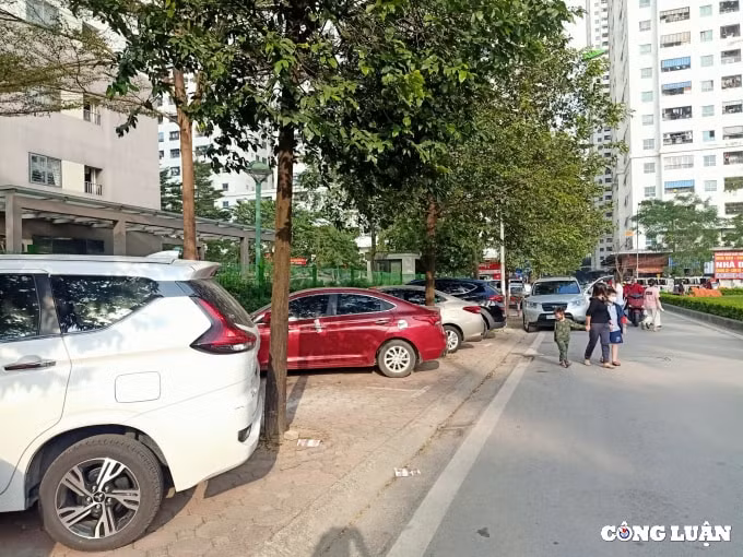 hoang mai ha noi cong ty ngan gia bao chiem dung via he to chuc trong xe o to trai phep hinh 2