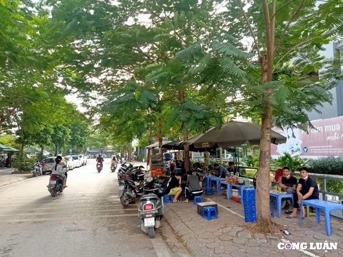 hoang mai ha noi cong ty ngan gia bao chiem dung via he to chuc trong xe o to trai phep hinh 12