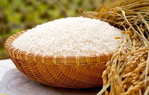 Giá gạo Việt Nam lập đỉnh mới. Ảnh: TL