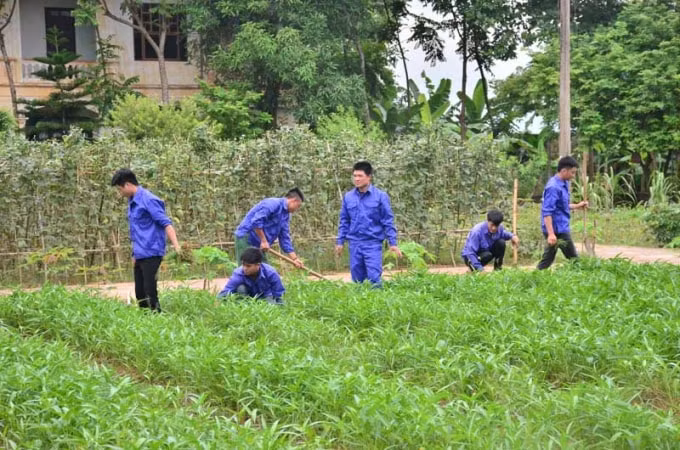 Học viên cai nghiện tại cơ sở cai nghiện ma tuý số II tỉnh Hòa Bình được dạy nghề trong thời gian cai nghiện. Ảnh: Báo Hòa Bình