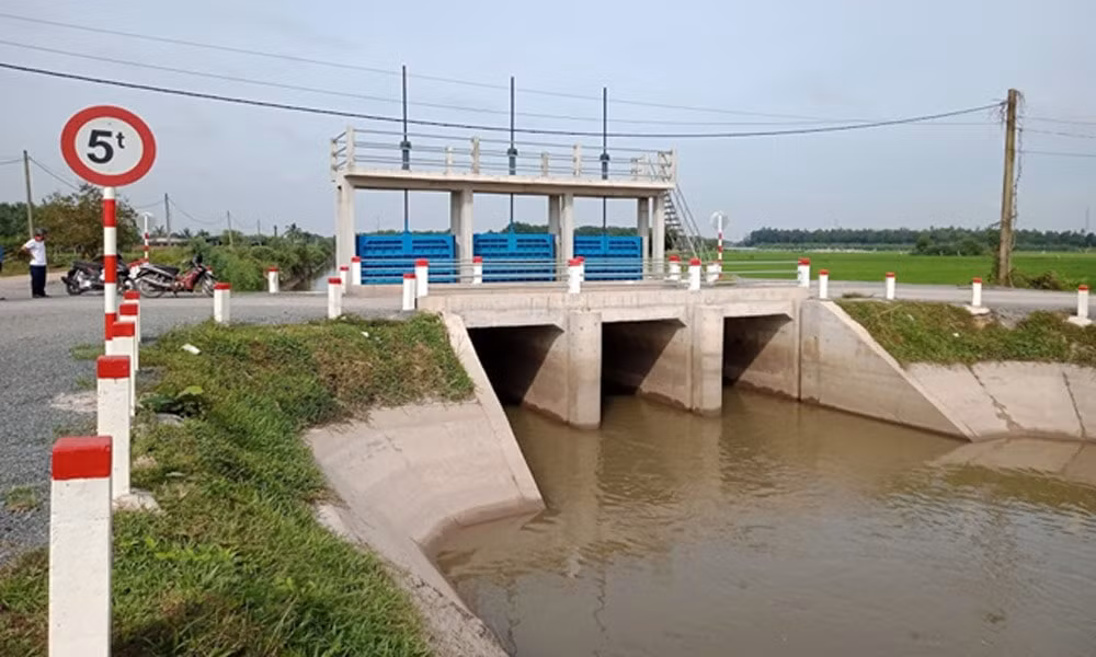 tp hcm 2 don vi canh tranh goi thau xay dung cac tuyen de bao tren dia ban huyen hoc mon tri gia gan 80 ty dong hinh 1