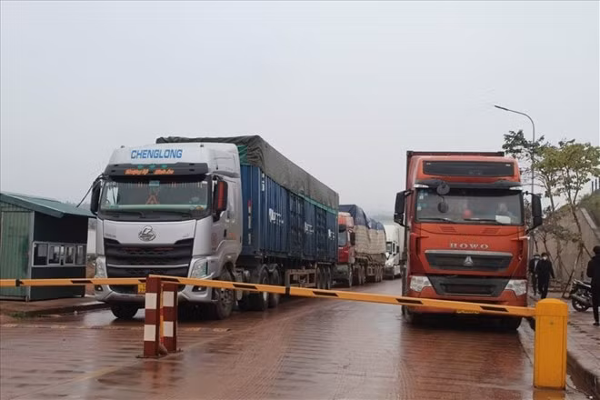 tong kim ngach xuat nhap khau hang hoa qua mong cai dat hon 1 ty usd hinh 1