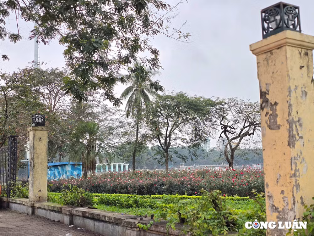 ha noi tiep tuc ha rao chan cong vien thong nhat hinh 6