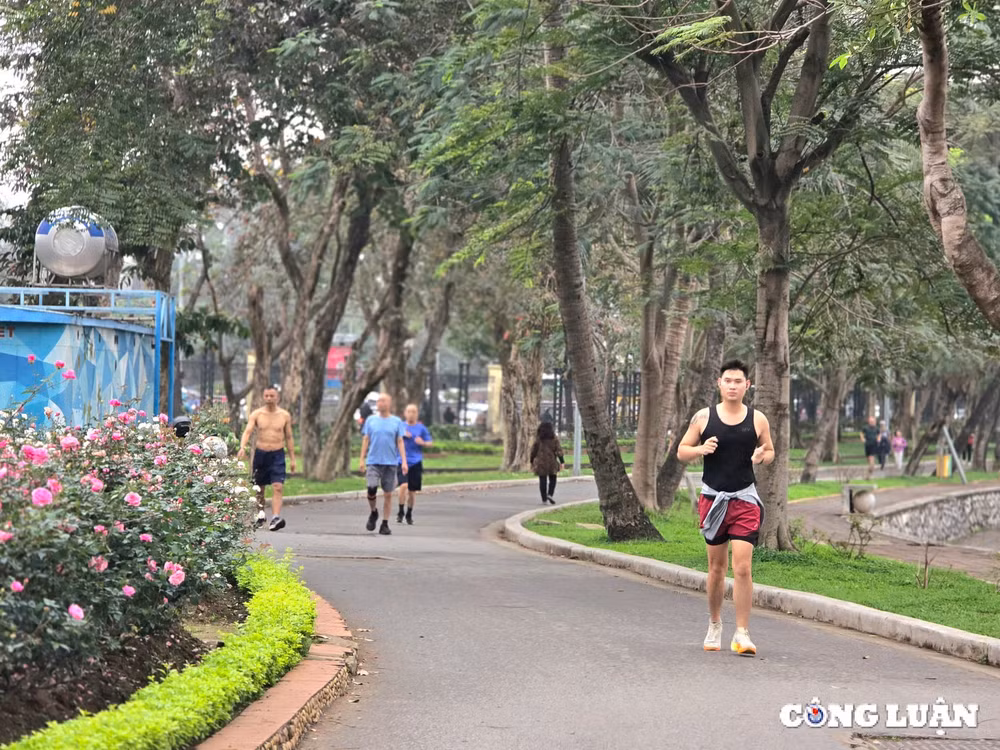 ha noi tiep tuc ha rao chan cong vien thong nhat hinh 11