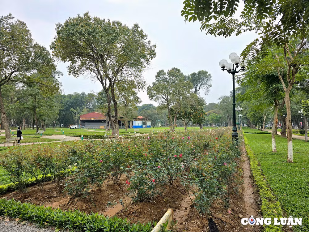 ha noi tiep tuc ha rao chan cong vien thong nhat hinh 1
