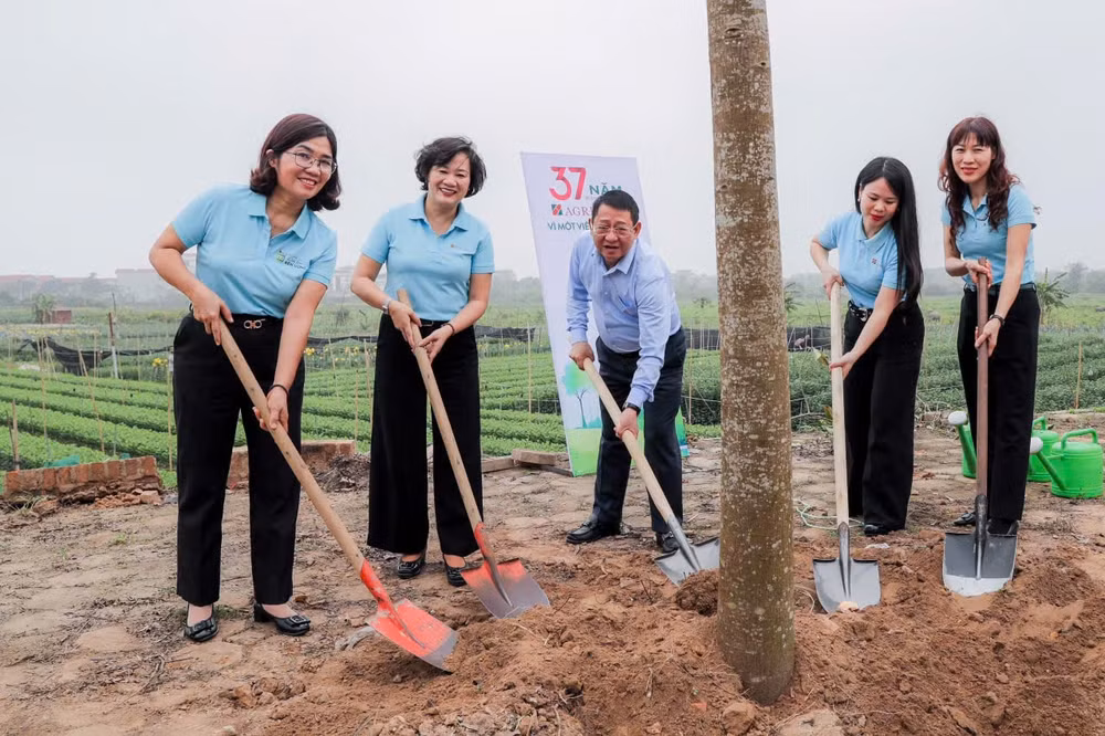 agribank them cay them su song lan toa hanh trinh vi tuong lai xanh tai me linh hinh 3