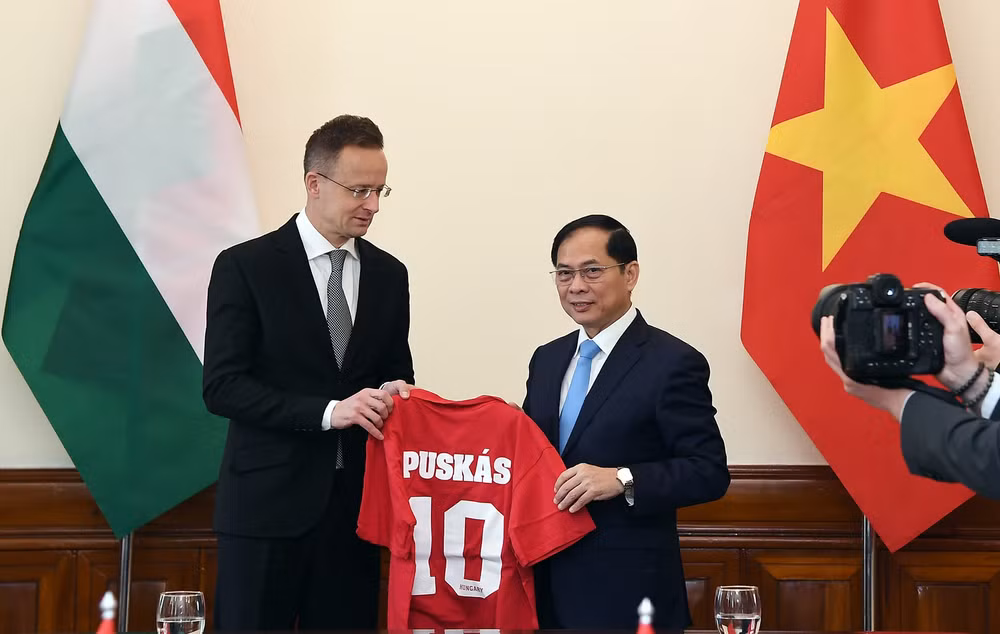 khuyen khich doanh nghiep hungary day manh dau tu vao viet nam hinh 3