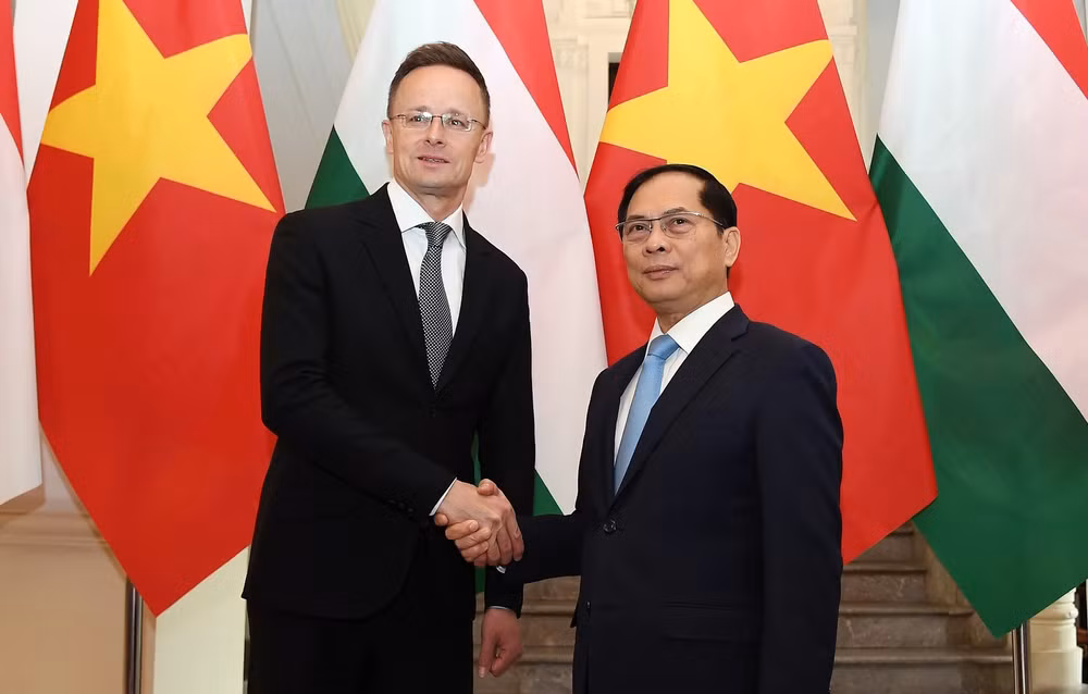 khuyen khich doanh nghiep hungary day manh dau tu vao viet nam hinh 1