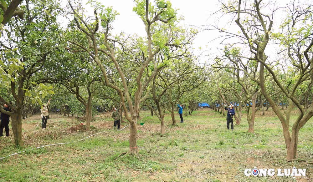 xem nguoi dan se duyen cho buoi dien tai ha noi hinh 1