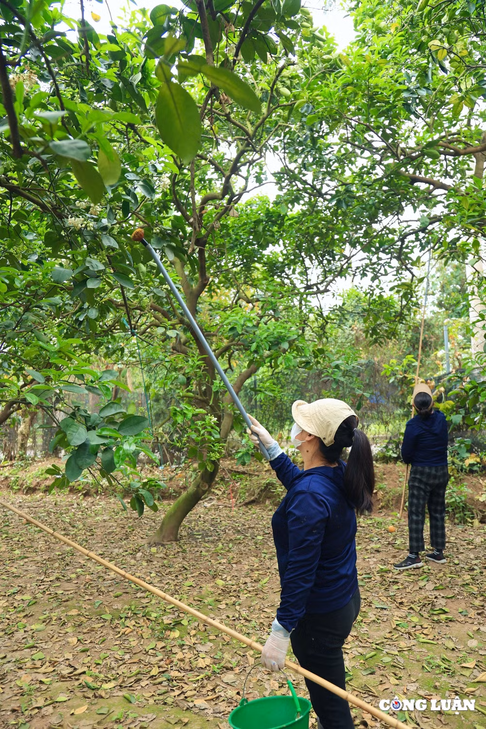 xem nguoi dan se duyen cho buoi dien tai ha noi hinh 12