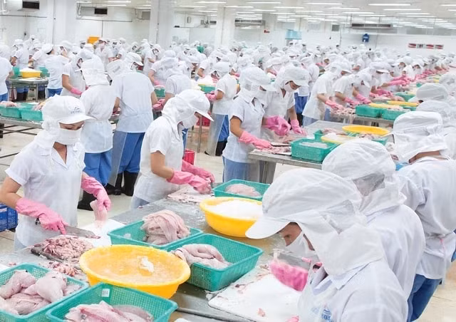 thuy san mekong aam dat muc tieu hoa von nam 2025 sau khoan lo 629 ty dong hinh 1