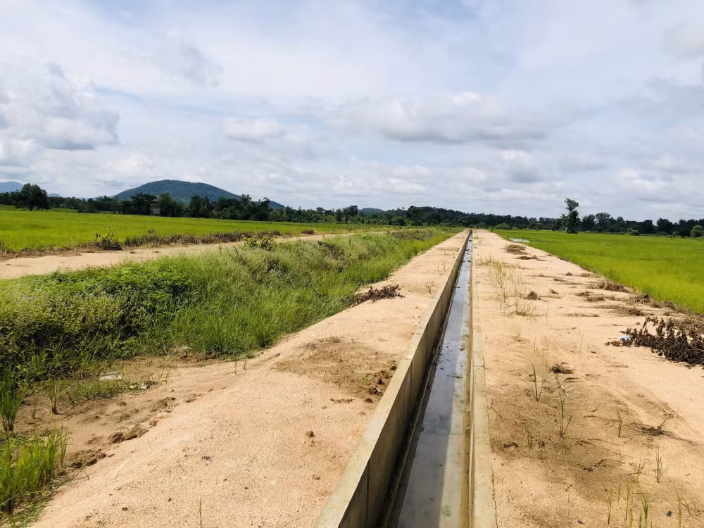 Ngay bên cạnh ruộng của gia đình anh Ksor Linh đã xây dựng kênh mương nội đồng, tuy nhiên đất lúa của anh vẫn khát khô