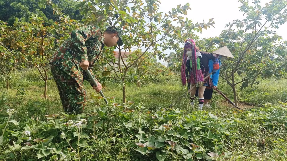 Cán bộ chiến sỹ Đồn Biên phòng Quảng Đức (huyện Hải Hà) giúp dân xây dựng khu vườn mẫu. (Ảnh: BĐBP Quảng Ninh cung cấp).