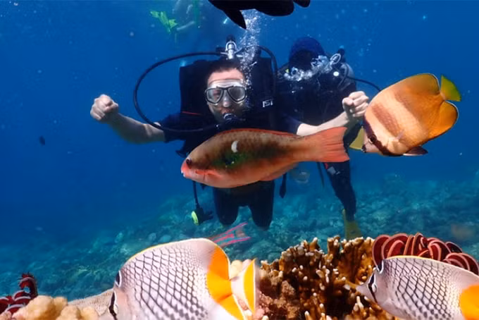 Nha trang tạm dừng du lịch lặn biển ở khu bảo tồn Hòn Mun. Ảnh: Báo Khánh Hòa