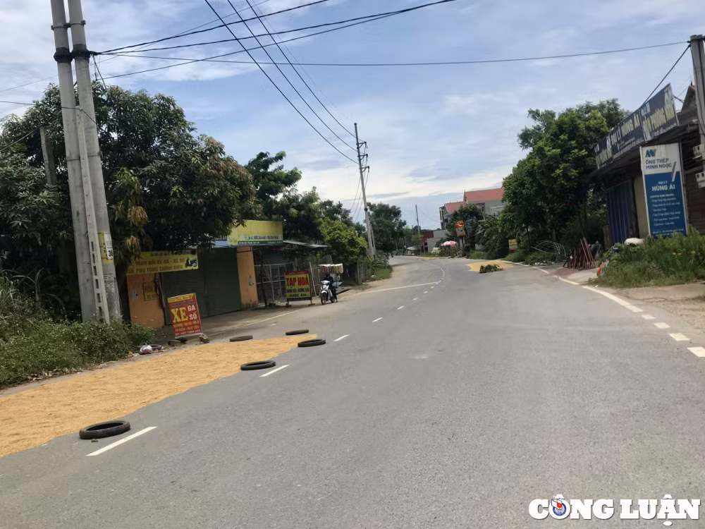 ha noi duong giao thong ngoai thanh lai hoa san phoi hinh 2