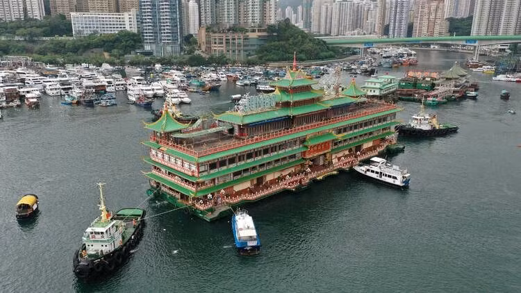 nha hang noi lon nhat the gioi chim o bien dong hinh 6