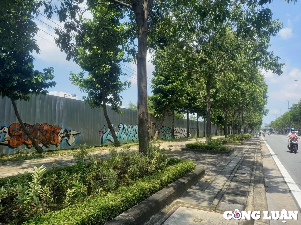 dan than troi vi hinh ve bay tran lan khap mat pho o tp hcm hinh 8