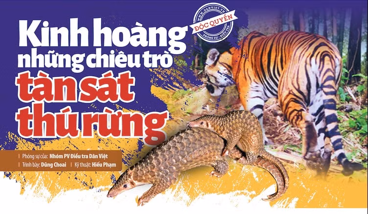 chien dich giai cuu 24 chua son lam hinh 3