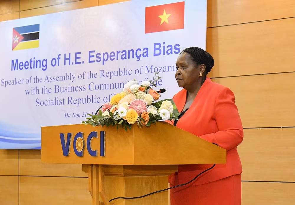 thuc day hop tac trong thuong mai dau tu giua cong dong doanh nghiep viet nam mozambique hinh 2