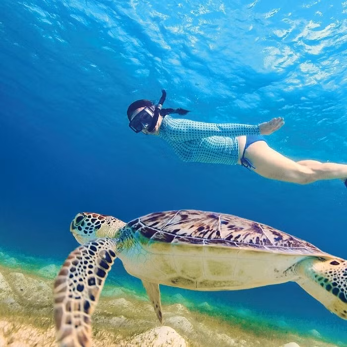 du lich lan bien trong vinh nha trang tam dung hoat dong hinh 5