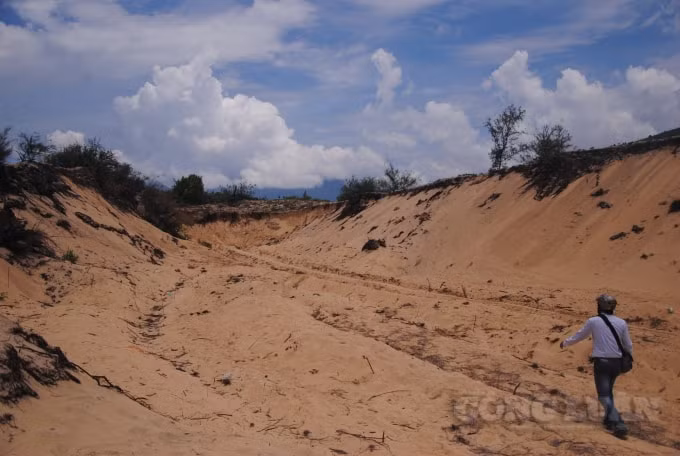 Khu đất bỏ hoang trong vùng dự án ở Khu kinh tế Chân Mây - Lăng Cô.