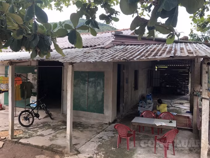 Vướng quy hoạch các dự án khiến nhiều hộ dân gặp nhiều khó khăn trong việc di dời, cũng như sửa chữa nhà cửa.