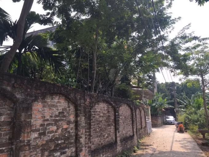 Mảnh đất được UBND huyện Đông Anh cấp Giấy chứng nhận quyền sử dụng đất cho các hộ gia đình trước khi các hộ này có đơn.
