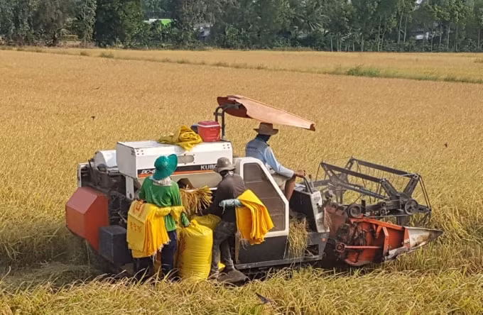 Cơ giới hóa nông nghiệp giúp nâng cao thu nhập cho người dân.