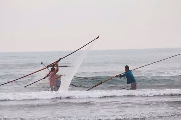 Vớt ruốc là một nghề khá vất vả, bởi ngư dân phải dầm mình dưới nước hàng tiếng đồng hồ, phải di chuyển liên tục, nếu không quen sẽ không làm được; những người có sức khỏe yếu sẽ không di chuyển được nhanh và thường xuyên, thế nhưng bù lại bà con có nguồn thu nhập hấp dẫn, có những ngày gặp may kiếm được 2 - 3 triệu đồng.