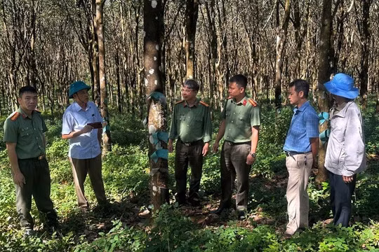 Chiến lược, quy hoạch phát triển kinh tế - xã hội phải đáp ứng yêu cầu bảo đảm an ninh