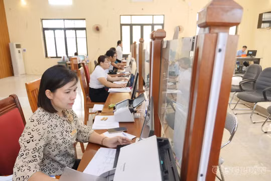 Bổ nhiệm công chức lãnh đạo trong 'trường hợp đặc biệt' phải xét thành tích, sản phẩm cụ thể