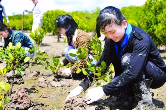 Bộ Chính trị ban hành Chương trình hành động về bảo vệ môi trường và ứng phó biến đổi khí hậu