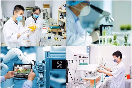 Ngân sách nhà nước chi cho 22 dịch vụ khoa học công nghệ theo 6 nhóm lĩnh vực