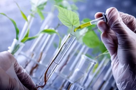 Việt Nam phấn đấu làm chủ công nghệ chỉnh sửa gen, thay thế 60% sản phẩm sinh học nhập khẩu
