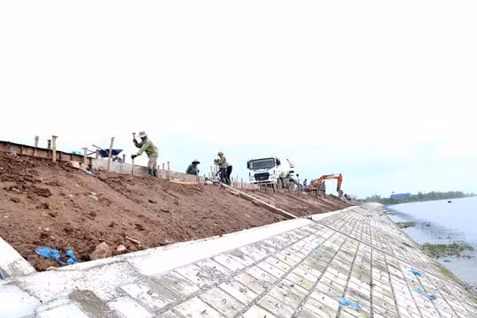Thủ tướng yêu cầu ưu tiên nguồn lực sửa chữa, nâng cấp đê điều, hồ đập trước mùa mưa lũ