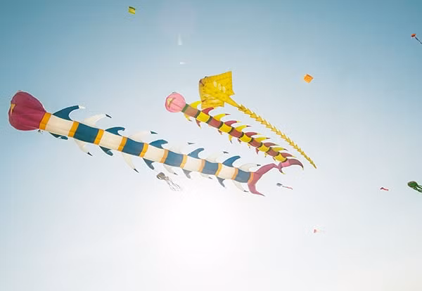 Diều 2
