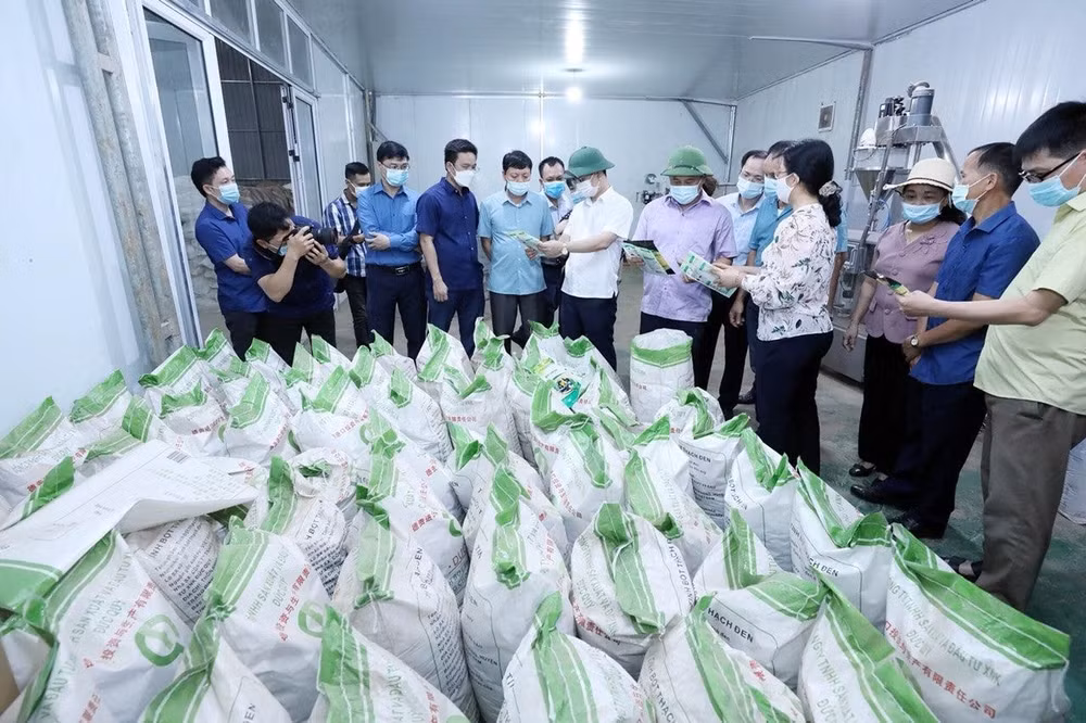 Ông Lương Trọng Quỳnh, Phó Chủ tịch UBND tỉnh Lạng Sơn (áo trắng) trong một lần kiểm tra tình hình sản xuất kinh doanh ở cơ sở