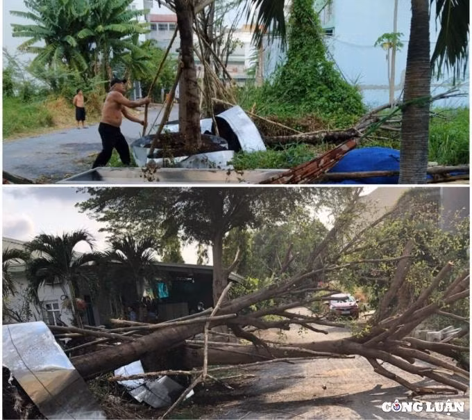 bi thu phuong ngo ngang truoc nhung lan tam hoan cuong che cua lanh dao quan hinh 1