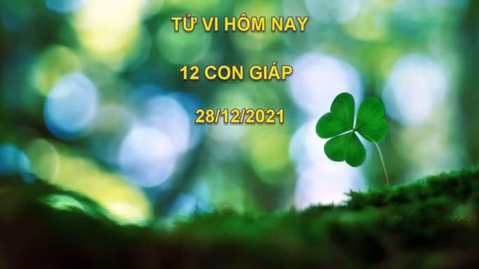 tu vi hom nay 28 12 2021 thu 3 ngay 25 11 am lich cua 12 con giap hinh 1