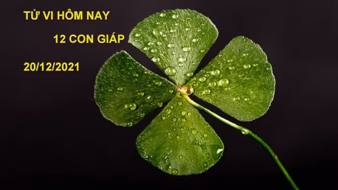 tu vi hom nay 20 12 2021 thu 2 ngay 17 11 am lich cua 12 con giap hinh 1