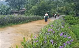 Hiện khu vực miền núi Thanh Hóa có 715 thôn, bản đạt chuẩn NTM, trong số đó, có nhiều thôn, bản trở thành thôn NTM kiểu mẫu