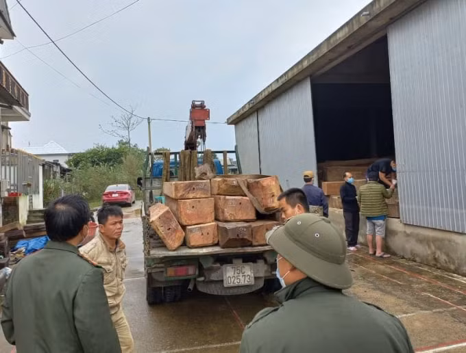 thua thien hue bat qua tang xe tai van chuyen hang nghin m3 go lau hinh 2