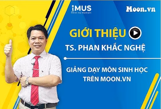 nghi van gian lan o mon sinh hoc nguoi trong cuoc mong di toi tan cung van de khong lap lo hinh 1