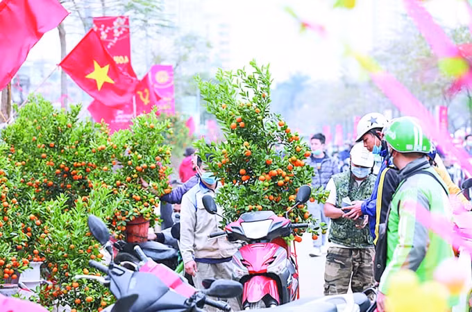 nguy co dich bung phat vao thoi diem cuoi nam an tet sao cho dung hinh 1